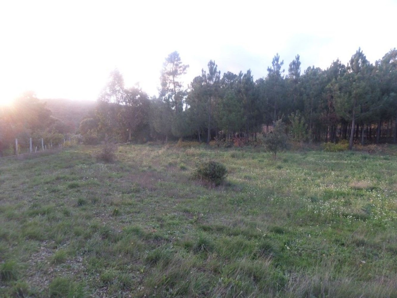  Land in Fundao, Portugal No. 251750