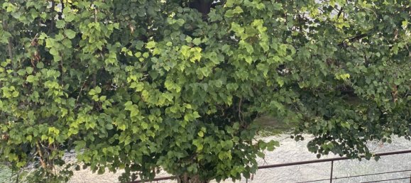 Studio in Chambly, France, Nr. 227718 3