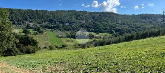 9799m² Land in Calvi dell'Umbria, Italy No. 140377 6