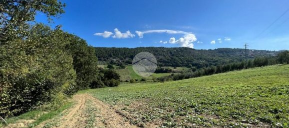 9799m² Land in Calvi dell'Umbria, Italy No. 140377 2