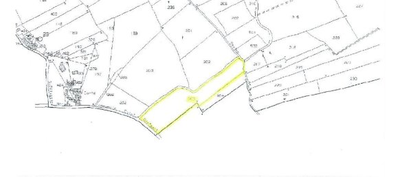 9799m² Land in Calvi dell'Umbria, Italy No. 140377 16
