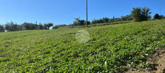 9799m² Land in Calvi dell'Umbria, Italy No. 140377 8