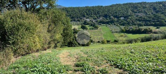 9799m² Land in Calvi dell'Umbria, Italy No. 140377 3