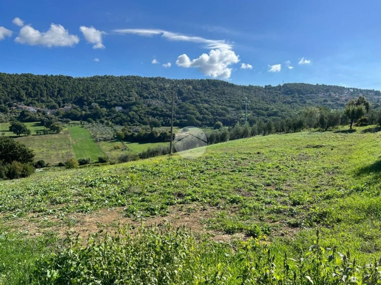 9799m² Land in Calvi dell'Umbria, Italy No. 140377