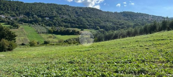 9799m² Land in Calvi dell'Umbria, Italy No. 140377 9