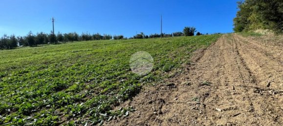 9799m² Land in Calvi dell'Umbria, Italy No. 140377 4