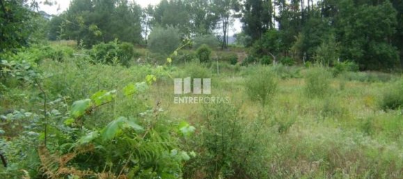 Grundstück in Marco de Canaveses, Portugal 440m², Nr. 56831 2