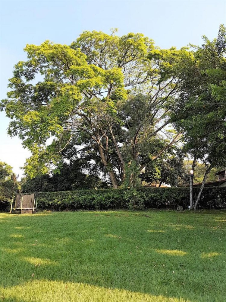 4 bedrooms House in Valle del Cauca, Colombia No. 7456