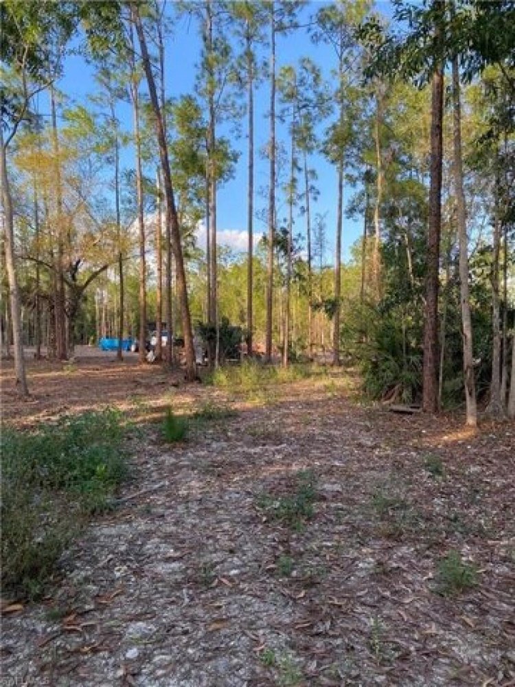 Земельный участок в Нейплс, США № 491797