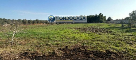 12غرفة فيلا في Sogliano Cavour, Italy رقم 22551 27