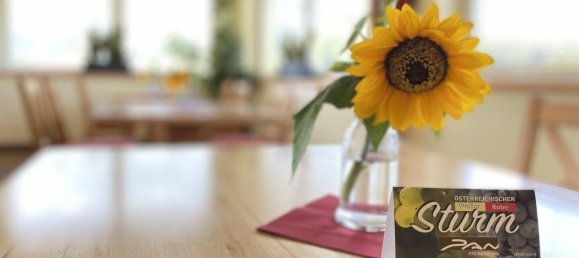 Propiedad comercial en Finkenstein am Faaker See, Austria No. 232548 11