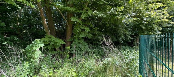  Land in Barnim, Germany No. 80038 8