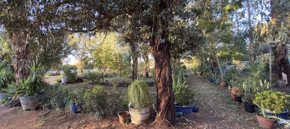 3 chambres Ferme à Holder, Australia No. 463 17