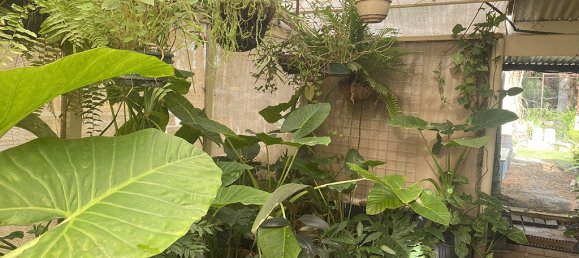 3 chambres Ferme à Holder, Australia No. 463 21