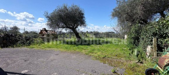 Villa de 6 dormitorios en Mentana, Italy No. 67899 50