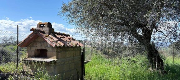 Villa de 6 dormitorios en Mentana, Italy No. 67899 45