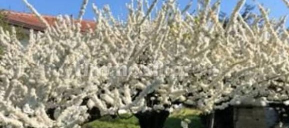 Villa T8 em Argenta, Italy N.º 223917 12