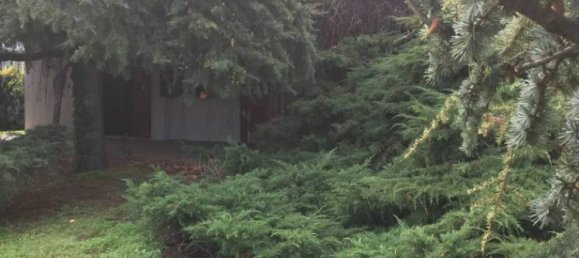 Villa T8 em Argenta, Italy N.º 223917 35