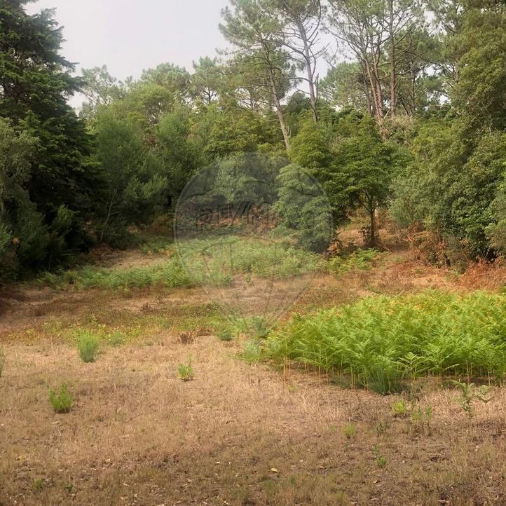  قطعة أرض في Colares, Portugal رقم 333955