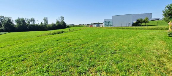 4 bedrooms House in Ort im Innkreis, Austria No. 75447 21