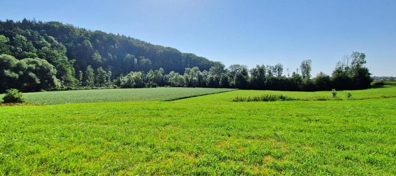 4 bedrooms House in Ort im Innkreis, Austria No. 75447 22