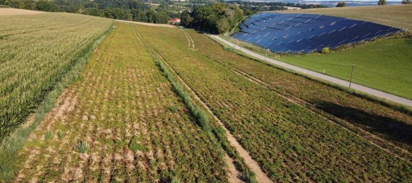  قطعة أرض في Dingolfing-Landau, Germany رقم 274074 4