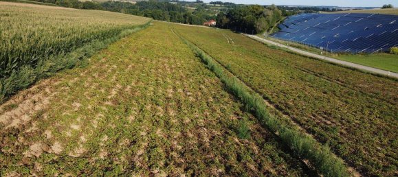  قطعة أرض في Dingolfing-Landau, Germany رقم 274074 3