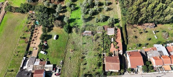 Дом с 4 спальнями в Коимбра, Португалия № 175118 23