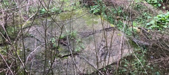 2 Schlafzimmer Haus in Figueiro da Granja, Portugal, Nr. 23760 12