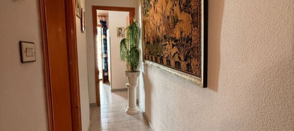 4 bedrooms Duplex in San Pedro del Pinatar, Spain No. 169238 13