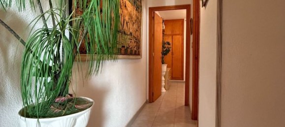 4 bedrooms Duplex in San Pedro del Pinatar, Spain No. 169238 14