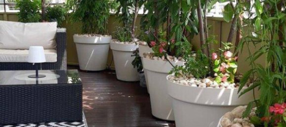 2-Zimmer Wohnung in Straßgang, Austria, Nr. 243863 6