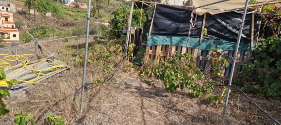 3 Schlafzimmer Haus in La Gomera, Spain, Nr. 161585 3