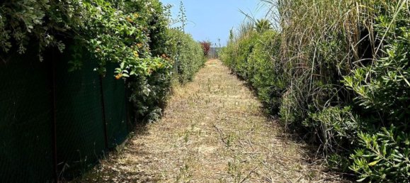 4-Zimmer Haus in Campofelice di Roccella, Italy, Nr. 124408 32