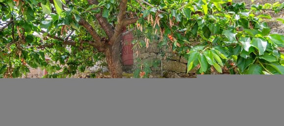 2 chambres Maison à Vilarandelo, Portugal No. 18246 15