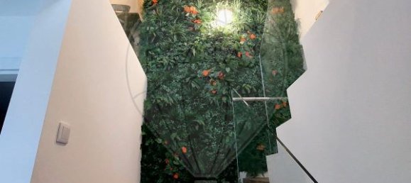 3 bedrooms House in Paredes de Coura, Portugal No. 28617 14