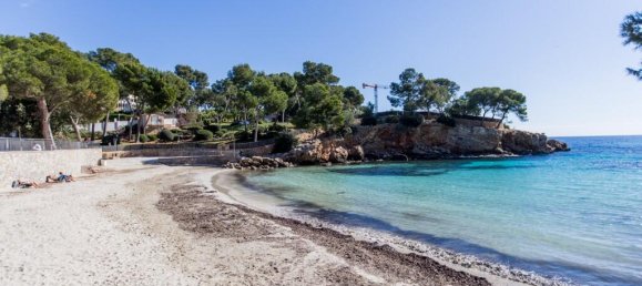 Вилла с 5 спальнями в Майорка, Испания № 246166 4