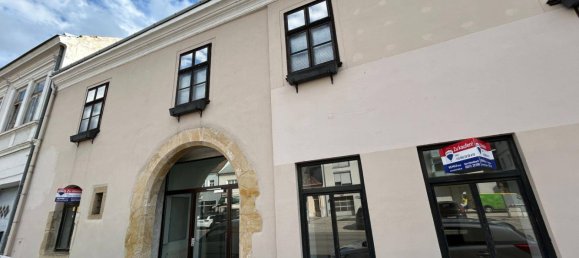 عقار تجاري في Laa an der Thaya, Austria 131متر مربع رقم 251476 16