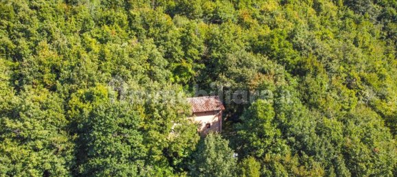 Casa T1 em Albino, Italy N.º 304549 18