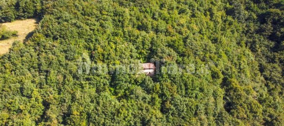 Casa T1 em Albino, Italy N.º 304549 26