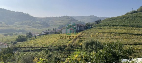 5-salle Maison à Monteforte d'Alpone, Italy No. 145183 25