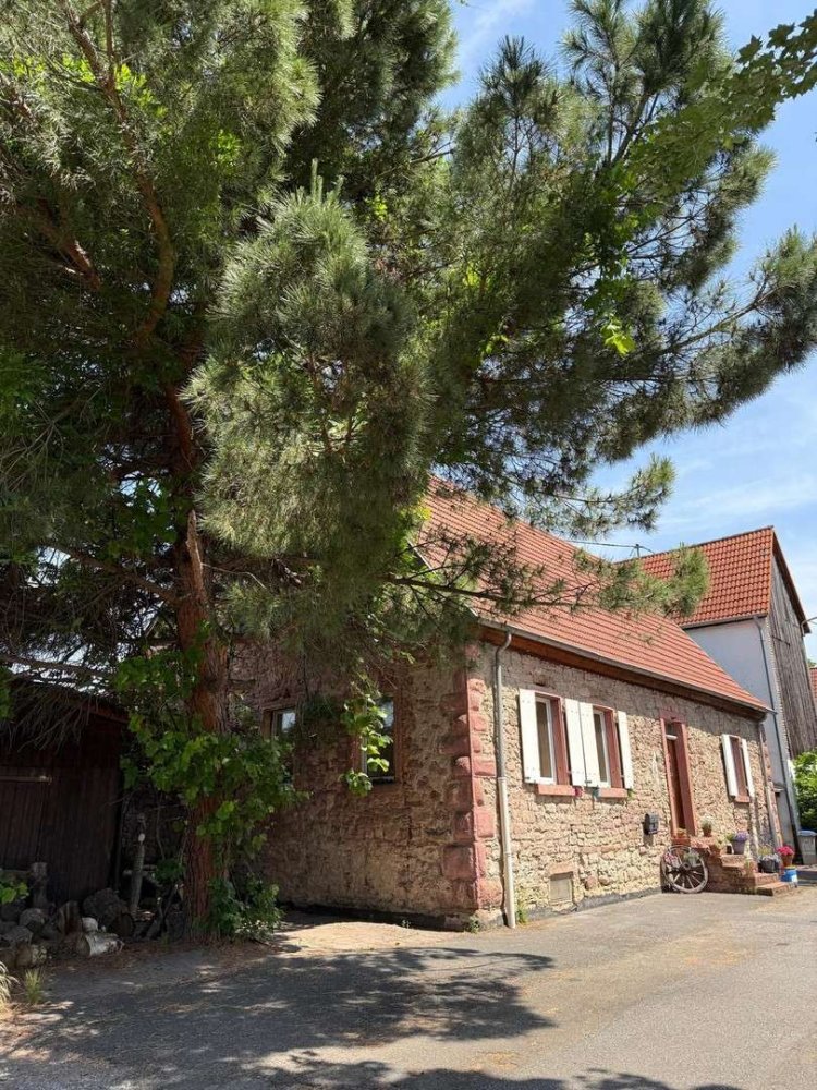 6 rooms House in Mannheim, Germany No. 367694