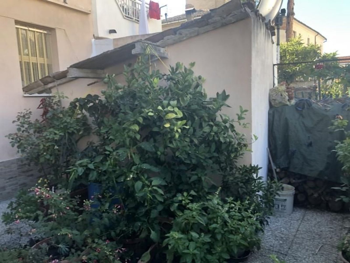 6-Zimmer Wohnung in Cupello, Italy, Nr. 231514