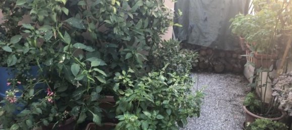 6-Zimmer Wohnung in Cupello, Italy, Nr. 231514 14