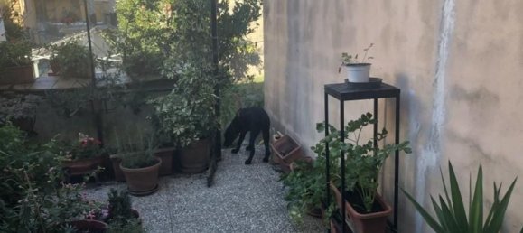 6-Zimmer Wohnung in Cupello, Italy, Nr. 231514 12