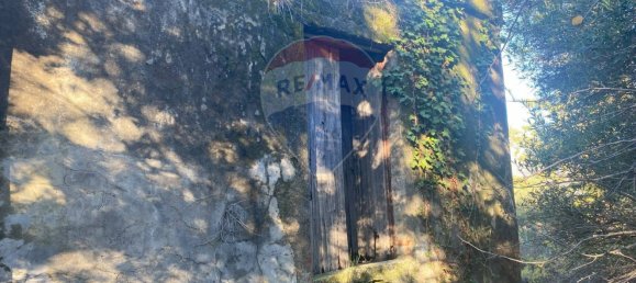 Grundstück in Castiglione di Sicilia, Italy 28965m², Nr. 66448 36