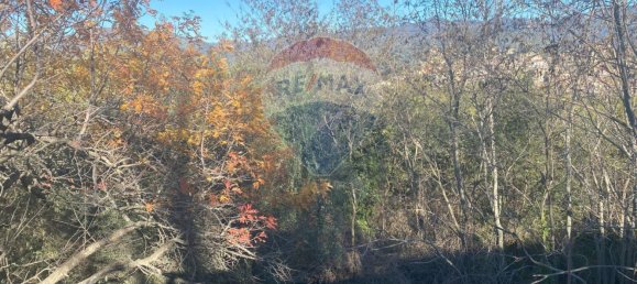 Grundstück in Castiglione di Sicilia, Italy 28965m², Nr. 66448 48