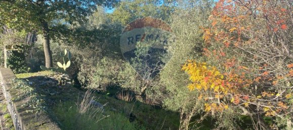 Grundstück in Castiglione di Sicilia, Italy 28965m², Nr. 66448 47