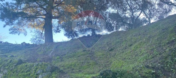 Grundstück in Castiglione di Sicilia, Italy 28965m², Nr. 66448 24