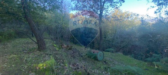 Grundstück in Castiglione di Sicilia, Italy 28965m², Nr. 66448 41